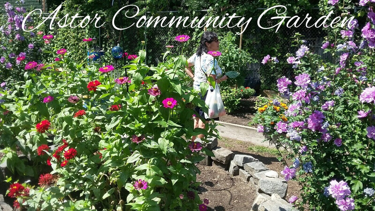 Astor Community Garden