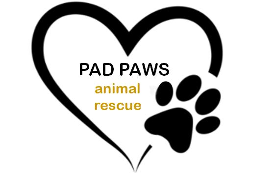 Pad Paws Animal Rescue 
